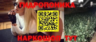 шишки Бузулук